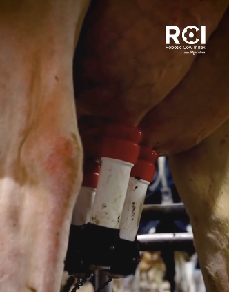  CowManager Milk Sensor — kontrolli mastiiti ja optimeeri lüpsiprotsessi