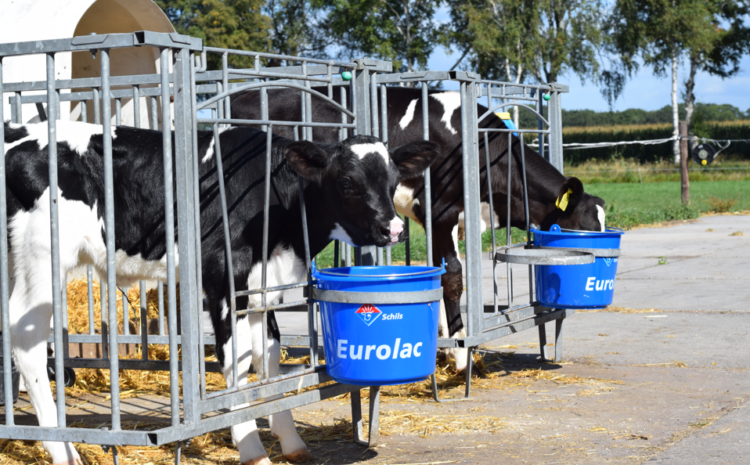  Avasta innovaatilised Schilsi piimapulbrid EPA messil!